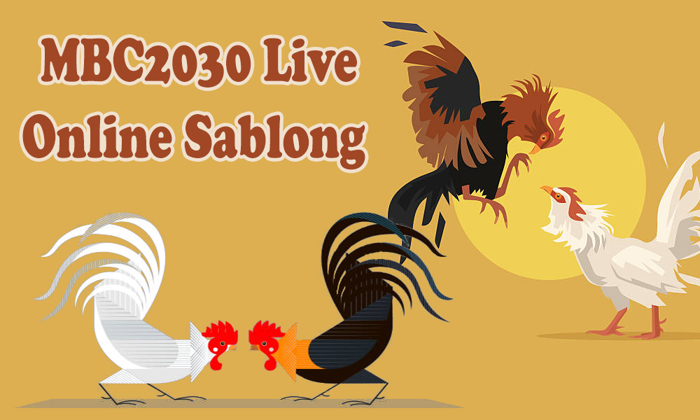 Everything About MBC2030 You Must Know