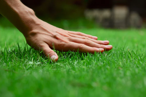 Lawn Care 