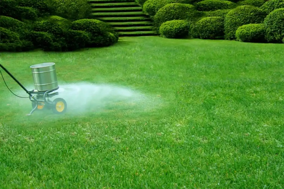 Lawn Care